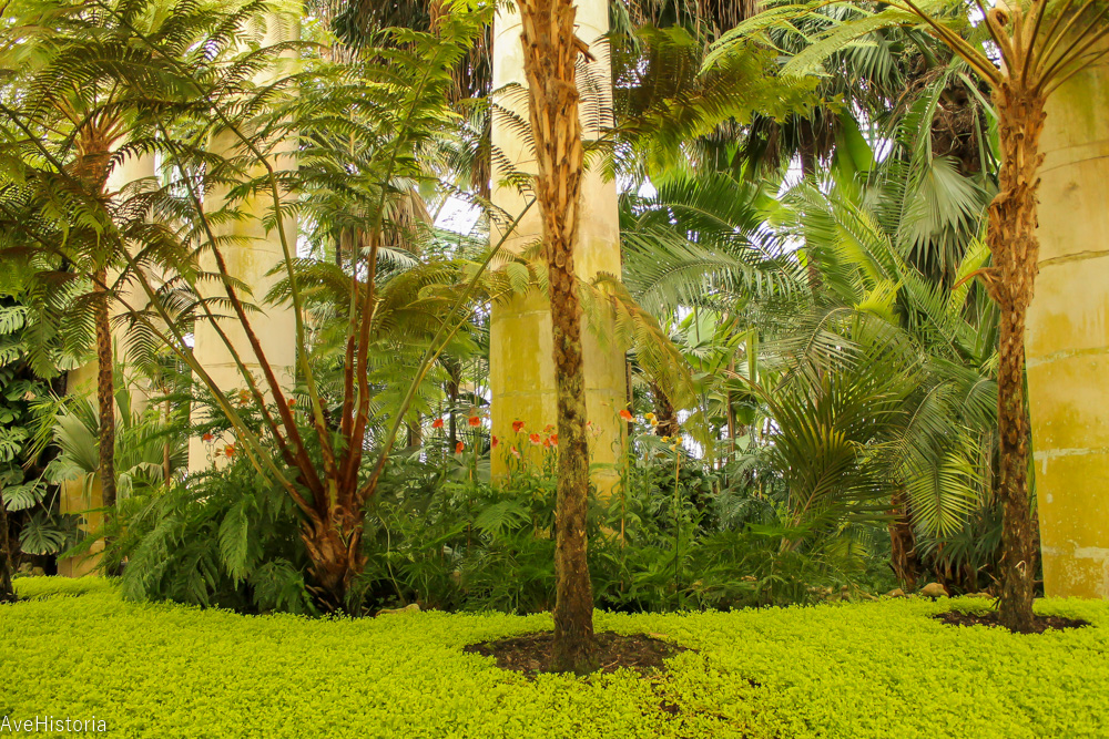 Serele Congo, Laeken