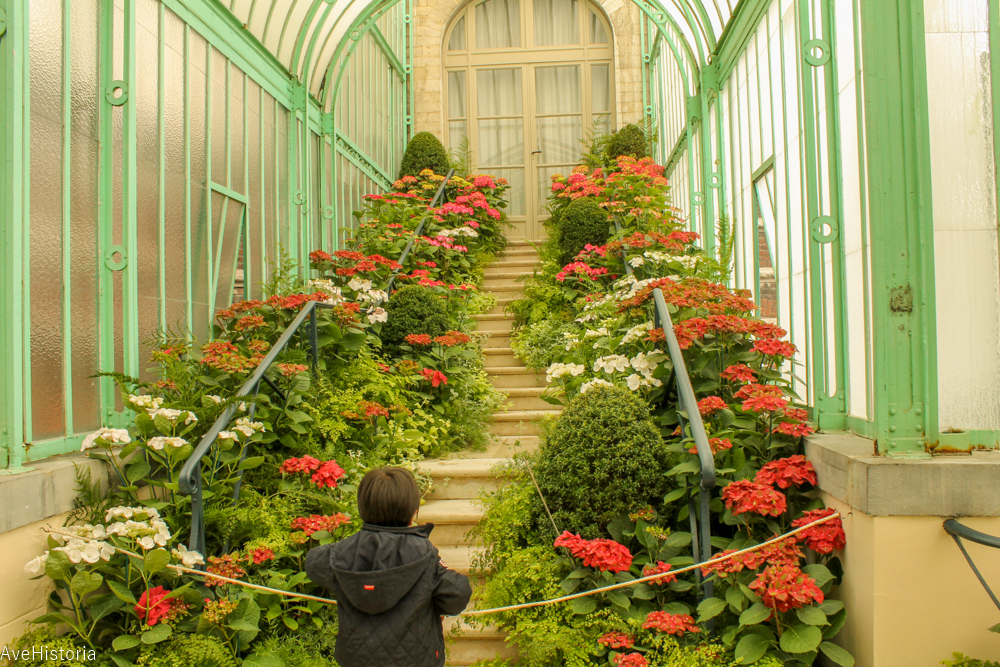 Serele Regale, Laeken, Bruxelles