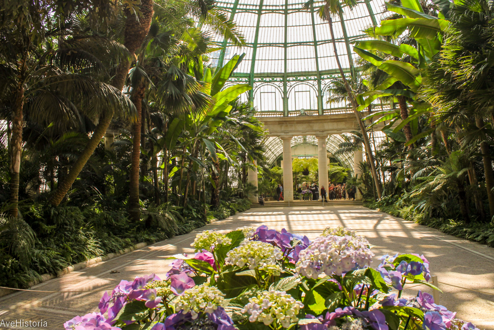 Gradina de iarna, Serele regale, Laeken