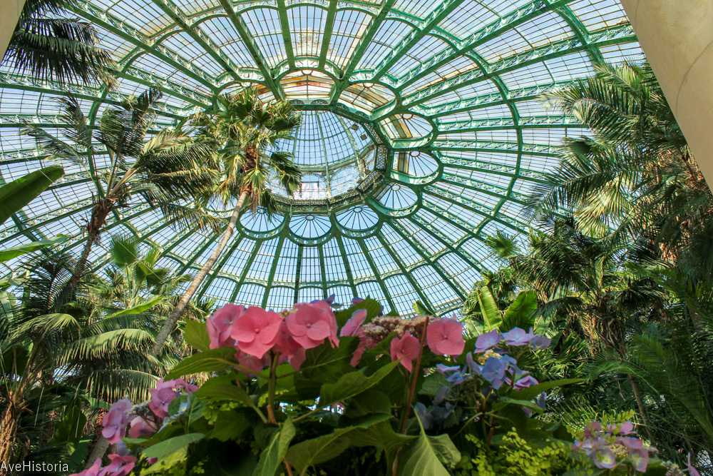 Serele Regale Laeken, gradina de iarna Bruxelles