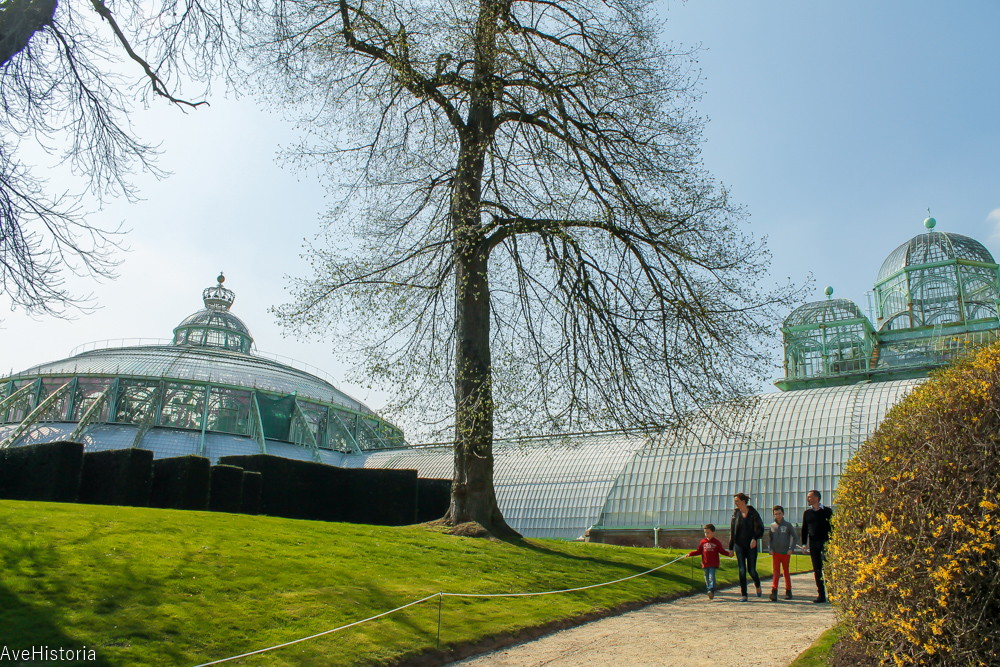 Gradina de vara si Biserica de fier, Serele regale din Laeken