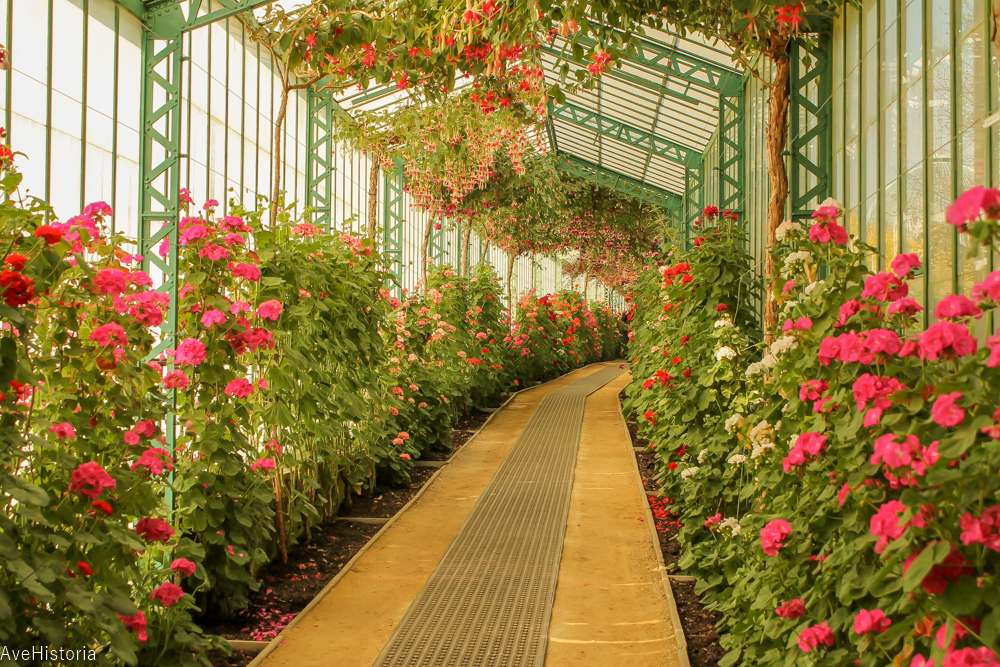 Serele Regale, galeriile gerarium, Laeken, Bruxelles