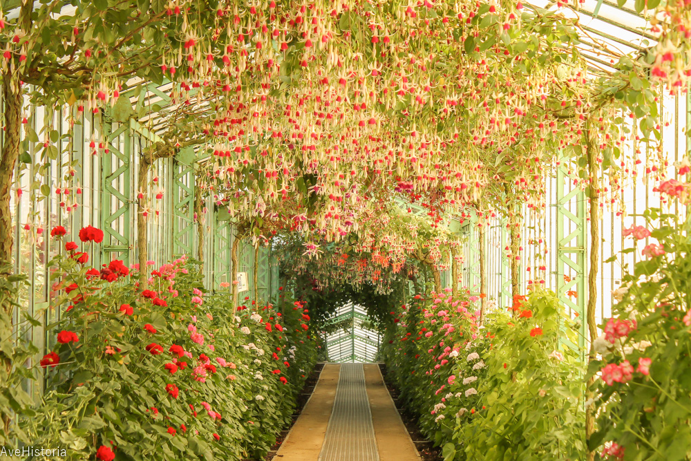 Serele Regale, galeriile gerarium, Laeken, Bruxelles